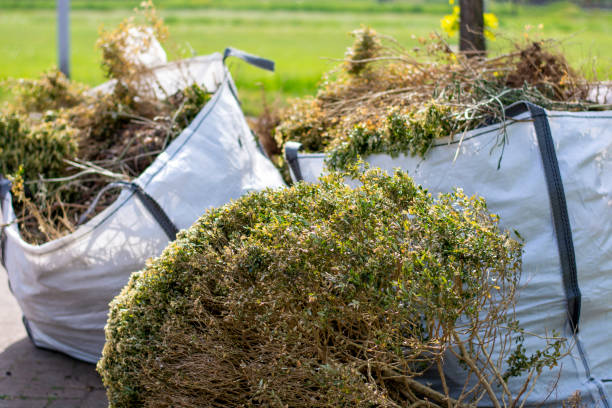 Best Demolition Debris Removal  in Burley, ID